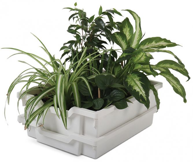 Plant Tower - Image 4